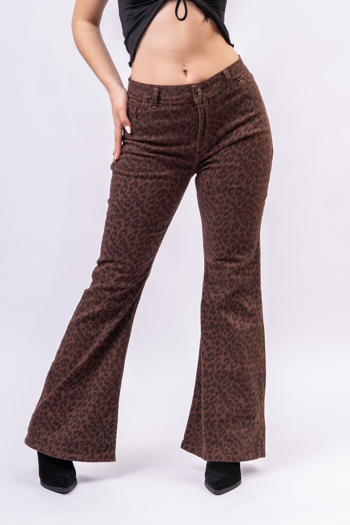 Oxford Animal Choco